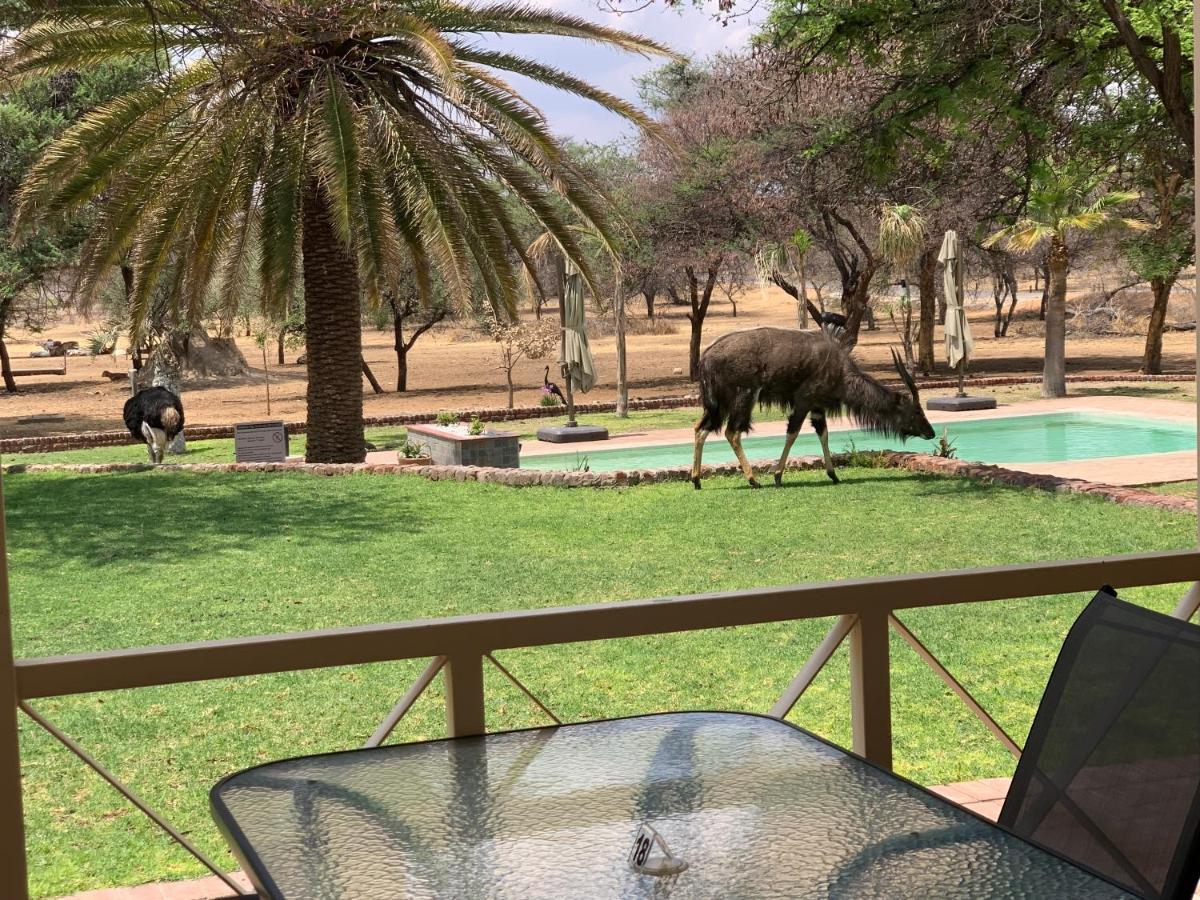 Otjibamba Lodge โอชิวารองโก ภายนอก รูปภาพ