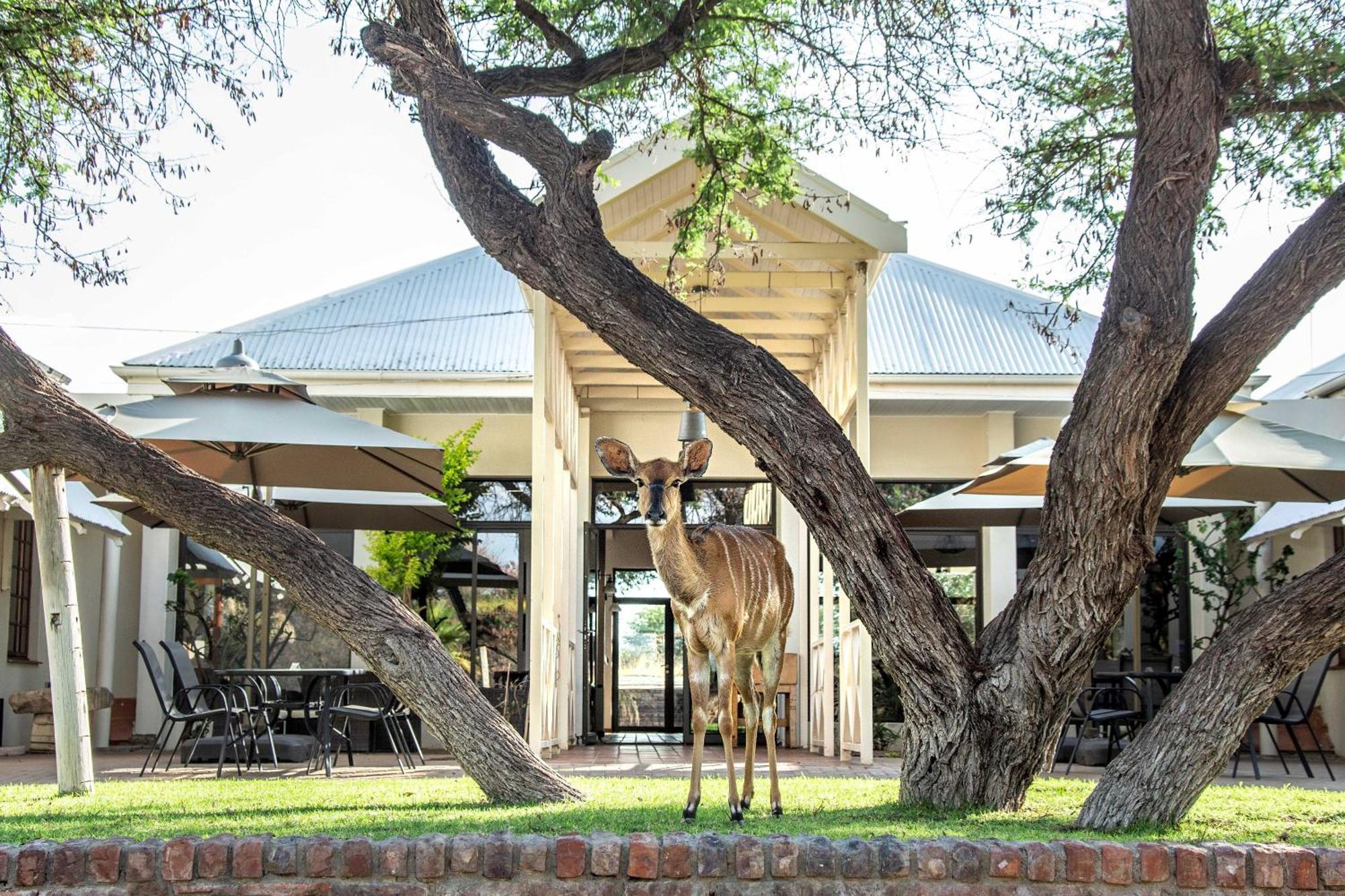 Otjibamba Lodge โอชิวารองโก ภายนอก รูปภาพ